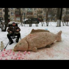 Рыба