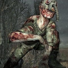 Угандийский снорк