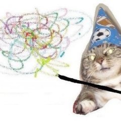 Вонючий кот вжух