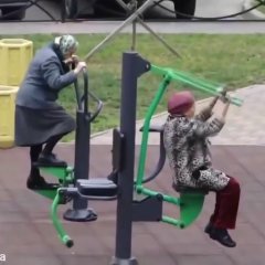 Алекс
