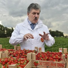 Грудинин