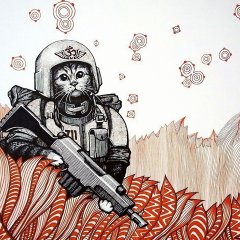 Кот