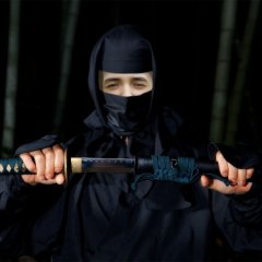 Ниндзя