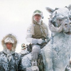 Погода