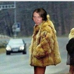Собака