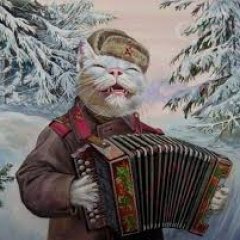 Совковый кот