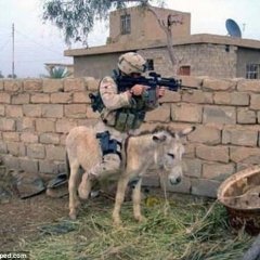 Спасибо за поздравления