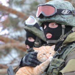 Вежливые люди с котом