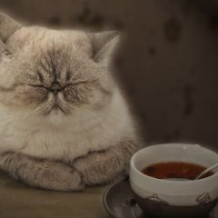 Юмор