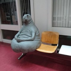 Ждун