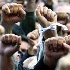 Демократия петушится
