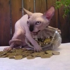 Кощей XXI века