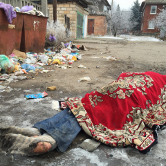 Очкодав