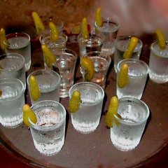 ПИТНИЦА