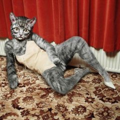 Привед0