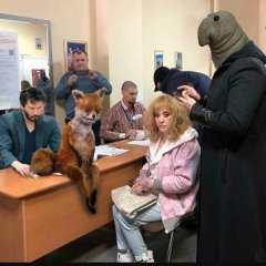 Серия  21