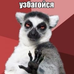 Узбагойся