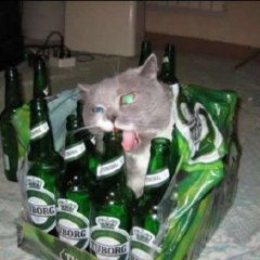Вафля