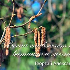 Весна - теплая погода