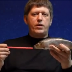Виктор Катющик