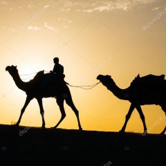 Восточные каникулы