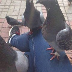 Зря ты мне разрешил