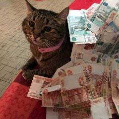111