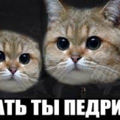 ЕБАТЬ ТЫ Л0Х