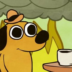 Everything is fine