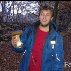 Грибы