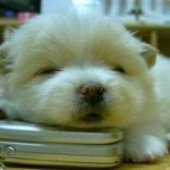 I choose to use my phone as a chin heater instead