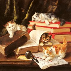 Книги и котики