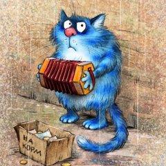 Кот синий