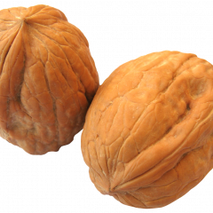 Орешки