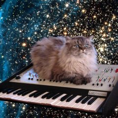 Techno cat