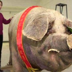 10000 BC