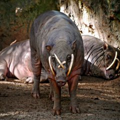 10000 BC