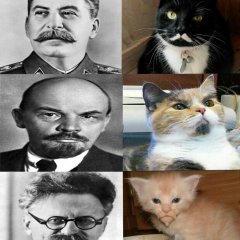 Котишка