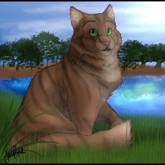 Коты-воители
