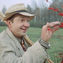Вицин