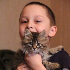 Вы
