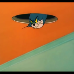 Ceiling Tom