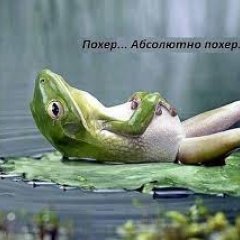 Что там у свинообразов
