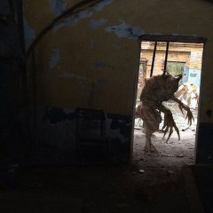 Друг