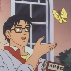Это голубь