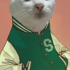 Кот в шоке