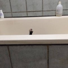 Котэ