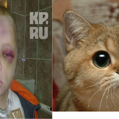 Котенька мой