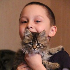 Пвп