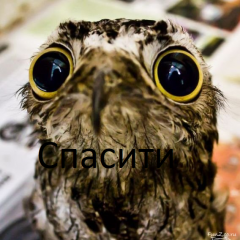 Спасити